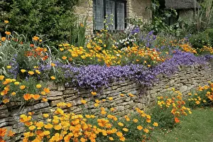 Gloucestershire: Flower Garden and stone wall Chipping Campden, Cotswolds