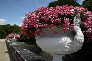 Yuanyue: Flower pots decorated the garden of Chateau