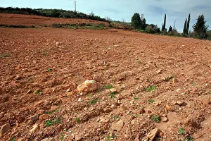 Ploughing: Flower-rich site - with many endemics - destroyed