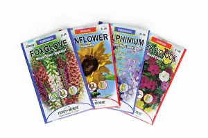 Packets: Flower seeds