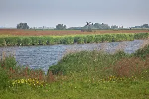Ditch: Flowering grassland with ditch and mill