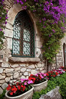 Hilltop: Flowering vine grows on wall of home in