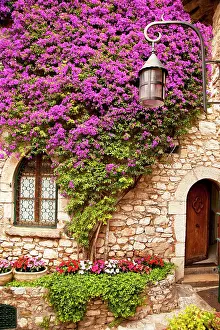 Hilltop: Flowering vines grow on the stone wall of