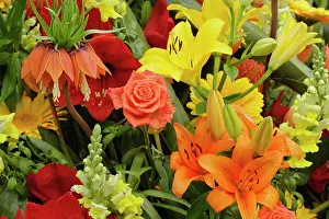 Princess: Flowers on float celebrating Queen's Day