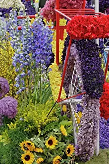 Bicycle: Flowers on float celebrating Queen's Day