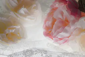 Zandria: Flowers and light