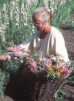 Baskets: FLOWERS - woman gathering flowers