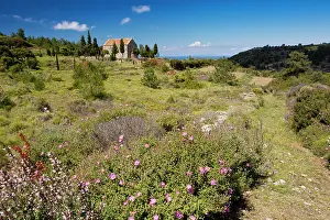 Chios: Flowery Garrigue and Pasture in spring around the