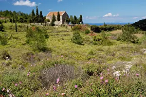 Chios: Flowery Garrigue and Pasture in spring around the