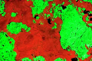 Willemite: Fluorescent Minerals Willemite and Calcite