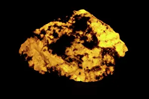 Fluorescent: Fluorescent Wernerite (Scapolite)