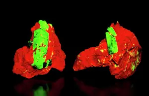 Matrix: Fluorescent Willemite on Calcite