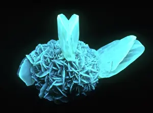 Fluorescent: Fluorescing Selenite Gypsum