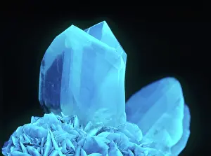 Fluorescent: Fluorescing Selenite Gypsum