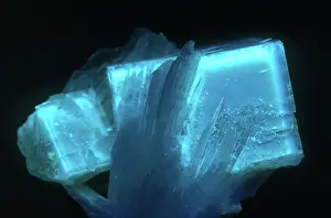 Fluorescent: Fluorite in UV Light
