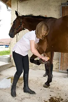 Cleanse: Flushing a foot Cheval France