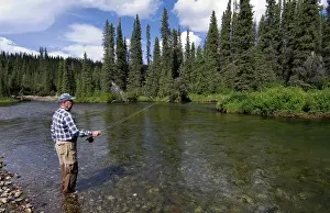 Times: Fly fishing fisherman, Liard River, British Columbia