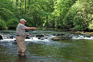 Fisherman: Fly fishing in northern Georgia, USA, North America