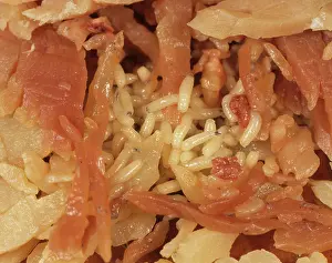 Household: Fly maggots on ham