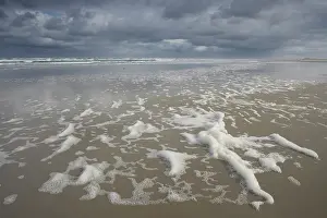 Foam: Foam on the beach, Terschelling