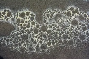 Foam: Foam left by receding waves on sandy shore, probably