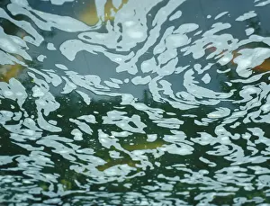 Poor: Foam on the pond is an indication that the water