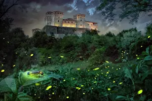 Fortified: Focus stacking of some fireflies in front of Tor