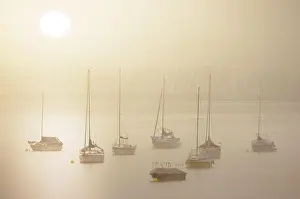 Sailboat: Fog over Lake Constance on an autumn morning with
