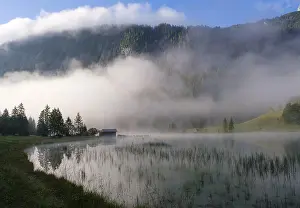 Werdenfelser: Fog at Lake Ferchensee, near Mittenwald, Werdenfelser
