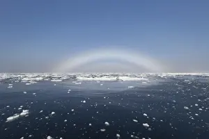 Bows: Fogbow in the arctic - Svalbard - Norway