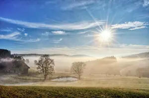Farmstead: Foggy atmosphere in the morning in Einsiedel, Farm