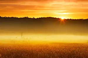 Nati: Foggy moor at sunrise, Great Serrahn Moor, M&, x32a74ea0;Nati