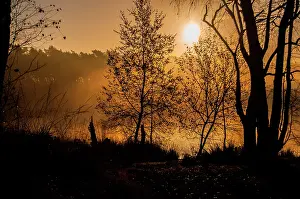 Nijmegen: Foggy sunrise above a misty lake