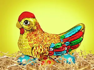 Foil: Foil covered chocolate Easter Chicken - with easter eggs