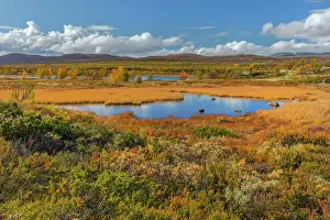 Extensive: Fokstumyra Wetlands - extensive wetlands with lakes and brig