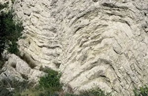 Fold: Folded Limestone