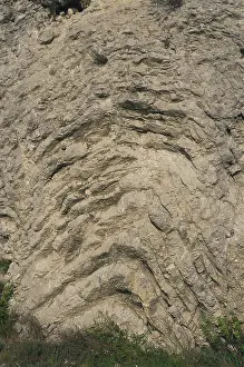 Fold: Folded Limestone