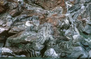 Fold: Folded Rock with Anticline