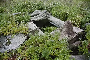 Chukotka: Food cache lined with whale bone