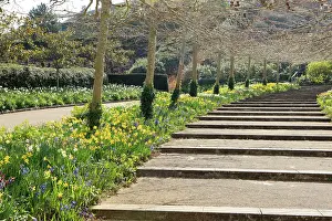 Eden: Footpath and Flowerbed