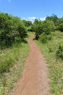 Camp: Footpath in tourist camp, Masai Mara National Reserve