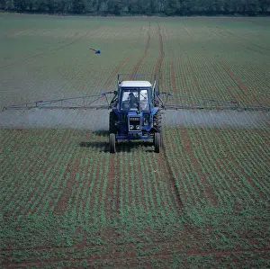 Powered: Ford tractor spraying a pea crop
