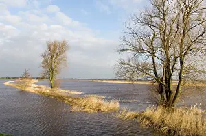 Floods: Foreland flooded river in winter