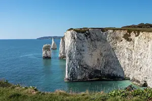 Stacks: The Foreland - or Handfast Point - Dorset - UK