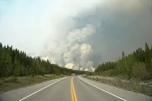 Wildfires: Forest Fire - controlled burn June 2009