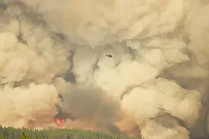 Helicopters: Forest Fire - controlled burn June 2009 with fire
