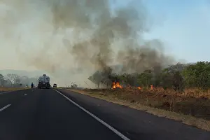 Peat: Forest fire, Mato Grosso, Brazil, Brazil