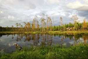 Scaninavia: Forest & lake