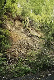 Waterlogged: Forest Landslide