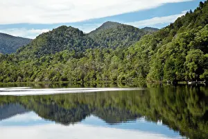 Tasmanian: Forest Reflected in Gordon River, Franklin
